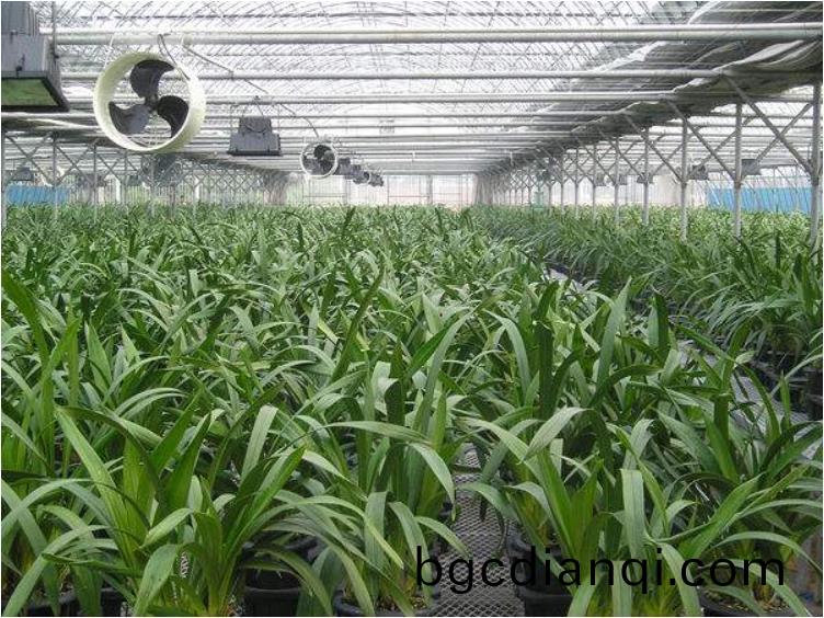 恆溫(wen)溫室大棚